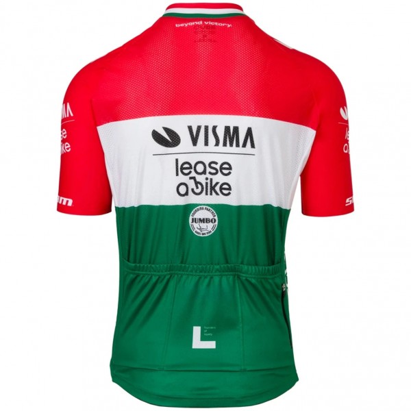 Heren Team Visma Lease a Bike 2025 Shirt - Hongaars Kampioen
