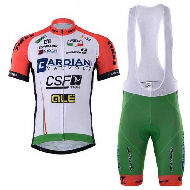 2017 Bardiani Csf Fietskleding Set Fietsshirt Met Korte Mouwen+Korte Koersbroek 2017 Bardiani Csf Fietskleding Set Fietsshirt Met Korte Mouwen+Korte Koersbroek