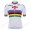 Alpecin Fenix 2020 Wit Fietsshirts Korte Mouws MDULE
